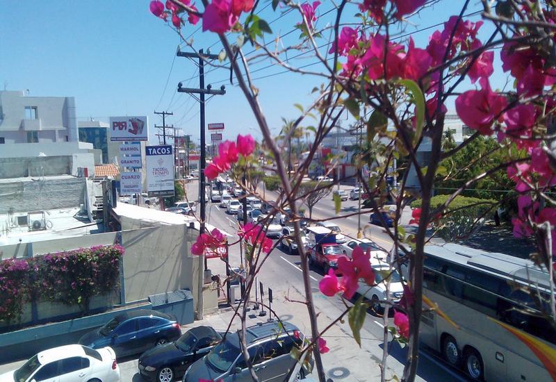 Hotel Mazatlán Eksteriør billede